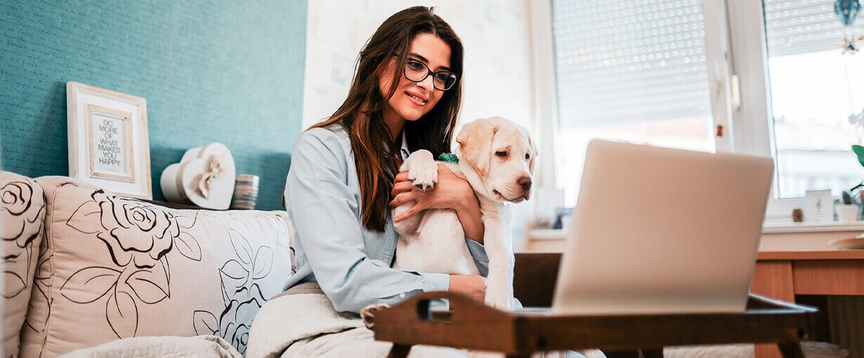 Success Story - SIIT